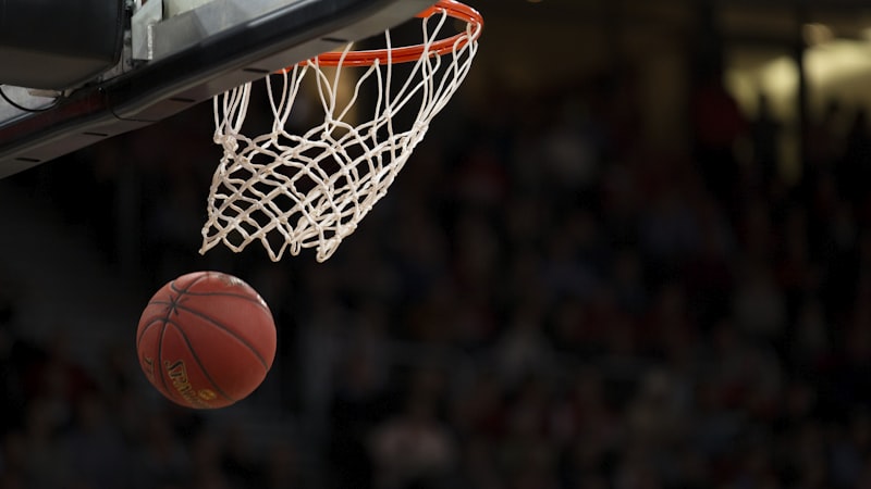 NBA 2025-2026赛季总决赛精彩瞬间图片